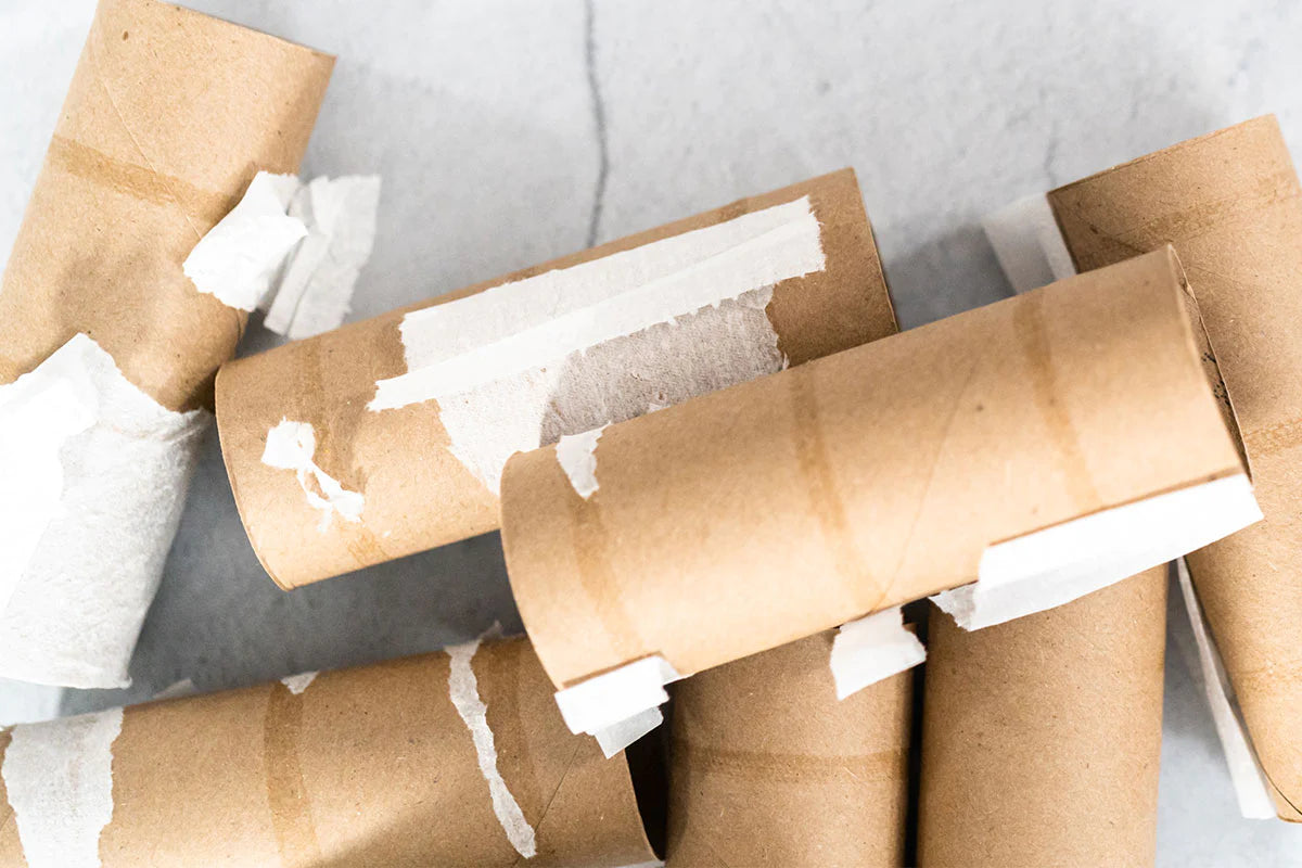 How to dispose of or recycle Toilet paper rolls and paper towel