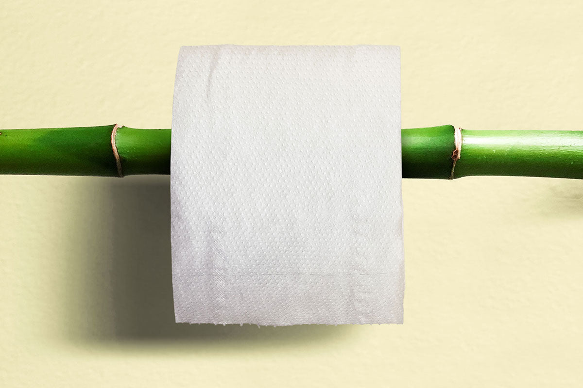 Bamboo Toilet Paper - Everything You Need To Know