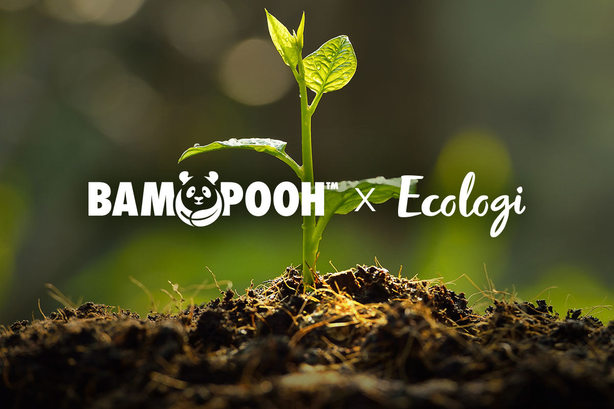 Bampooh Partners With Ecologi To Help Save The Planet