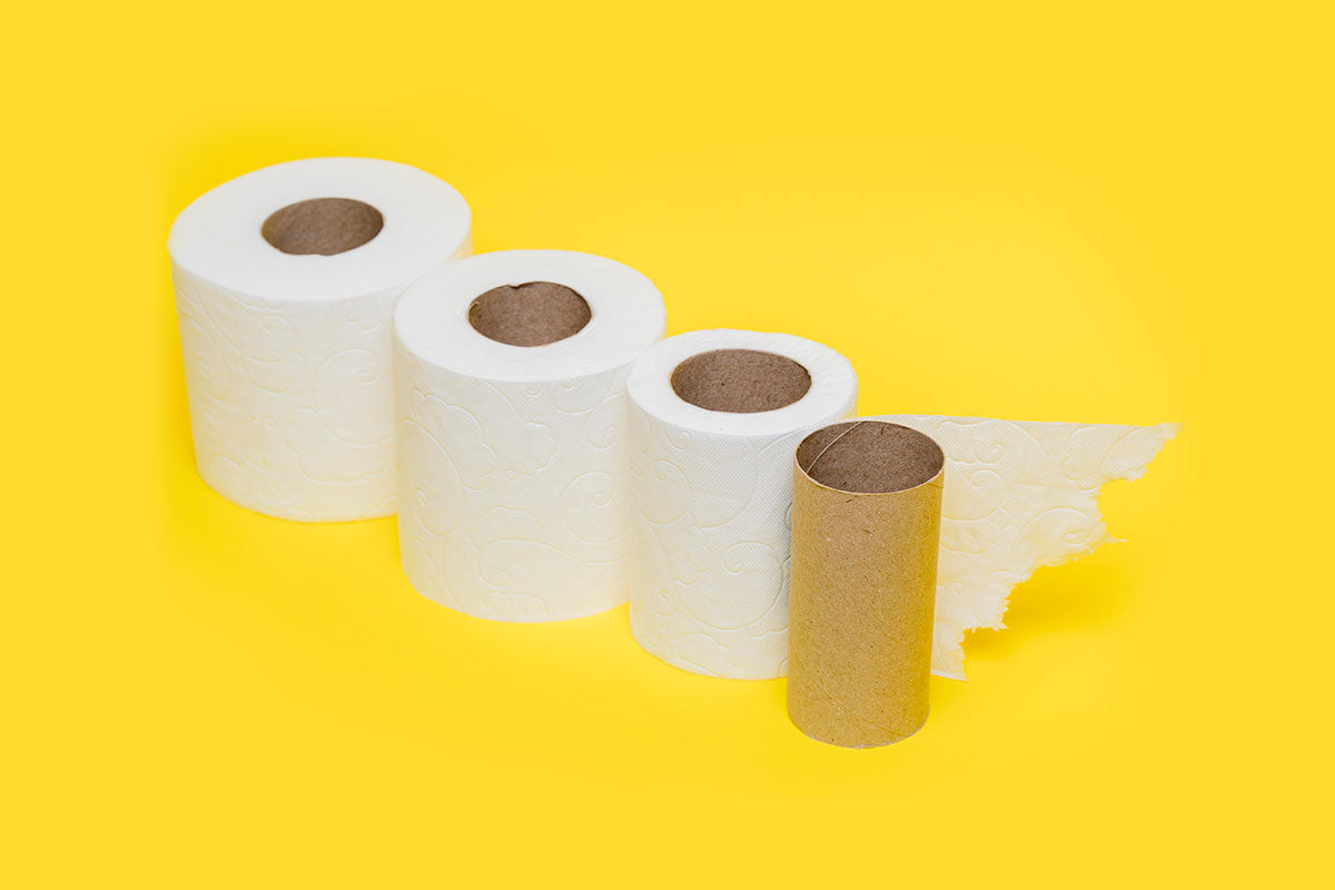 Does Bamboo Toilet Paper Break Down?