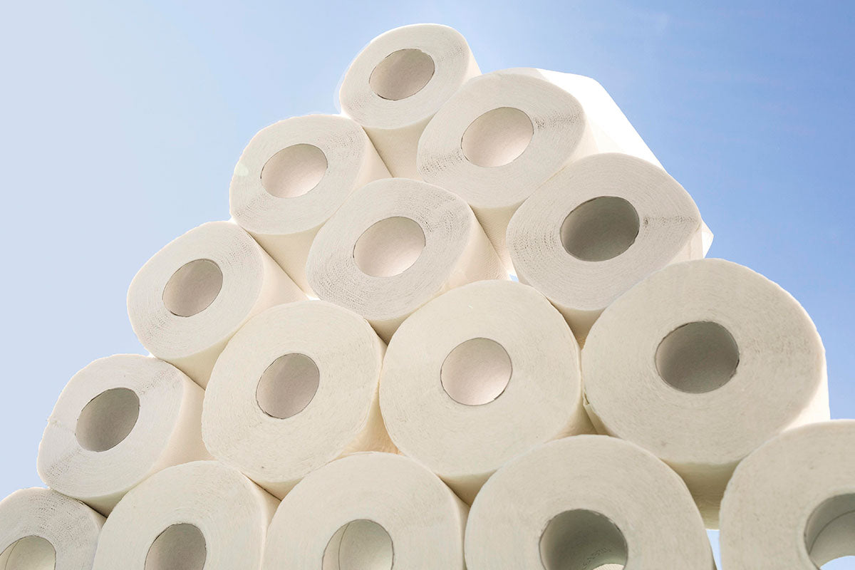 Is Bamboo Toilet Paper Better?