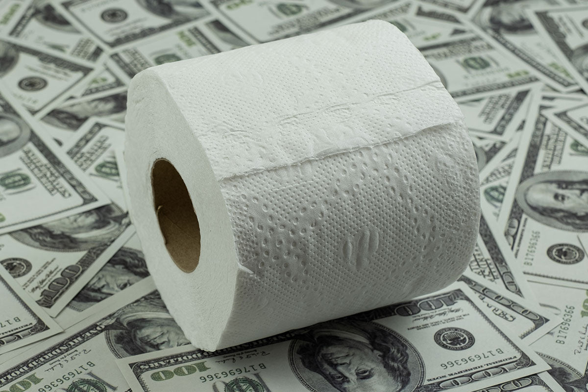 Is Bamboo Toilet Paper Expensive? | Price Comparison