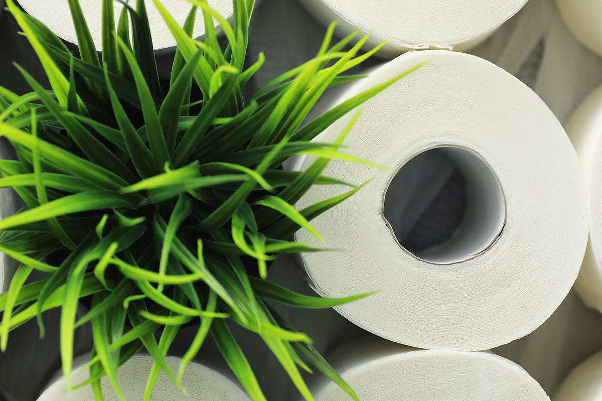 Should You Convert To Bamboo Toilet Paper?