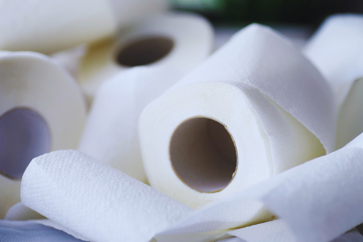 Will Bamboo Toilet Paper Replace Tree Toilet Paper?