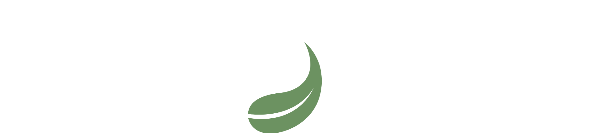Bampooh Brand Logo