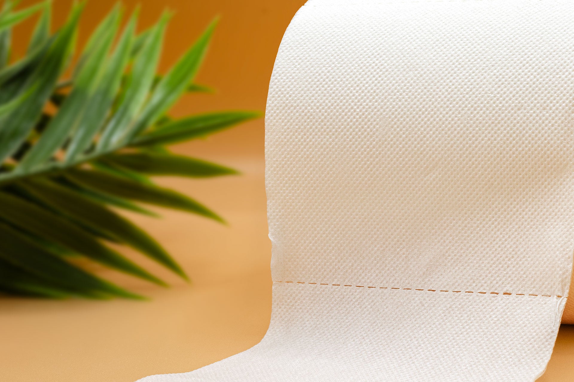 Bamboo Toilet Paper