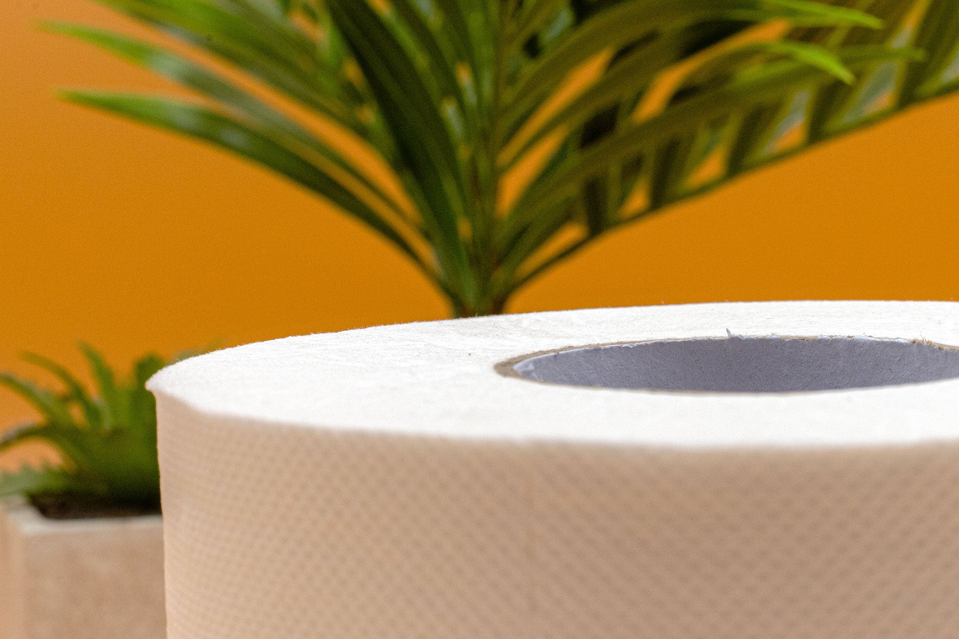 Bamboo Toilet Paper